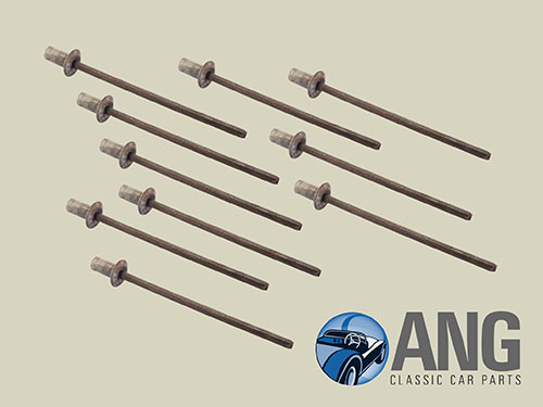 HARD TOP WEATHERSEAL TRIM FITTING RIVETS (10) ; STAG MkI & II