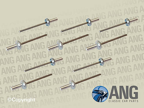 SIDE BODY CHROME TRIM FITTING CLIPS & RIVETS (10) ; VITESSE