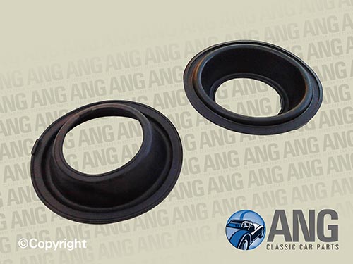 CARBURETTOR RUBBER DIAPHRAGMS (PAIR) ; TR250